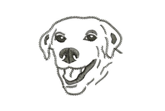 Download Golden Retriever - Golden Collection