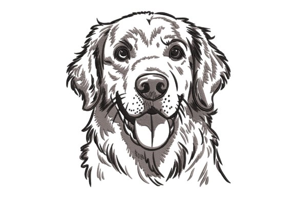 Download Golden Retriever - Golden Collection