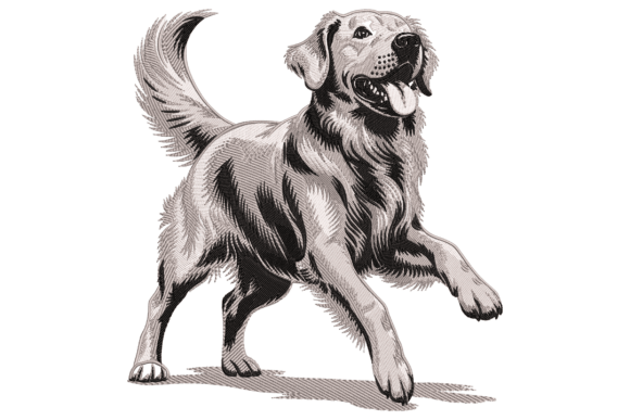 Download Golden Retriever Dog - Golden Collection