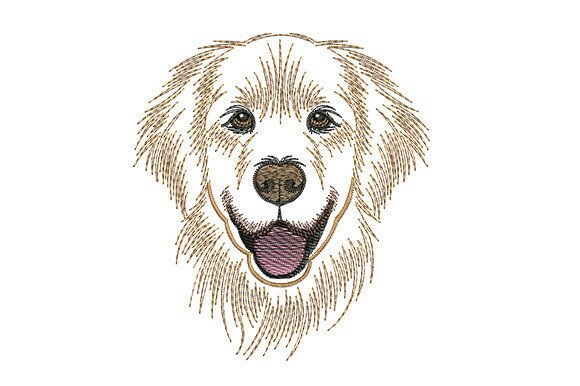 Download Golden Retriever Dog - Golden Collection