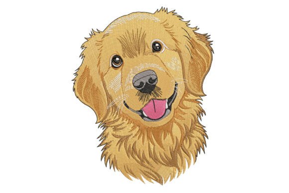 Download Golden Retriever Dog - Golden Collection