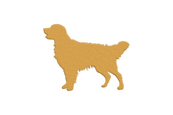 Download Elegant Golden Retriever Dog - Golden Collection
