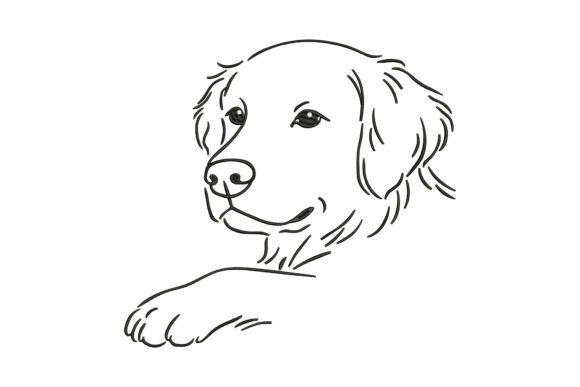 Download Cute Golden Retriever - Golden Collection