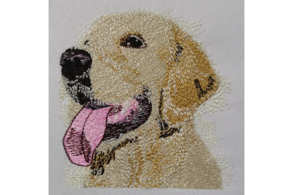 Download Golden Retriever - Golden Collection